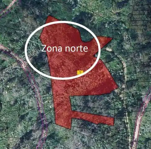 Land for sale in Salceda de Caselas