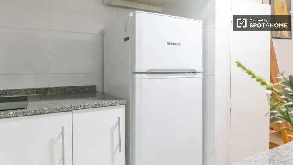 Wohnung mit Terrasse zur Miete in Centro, imagen 7