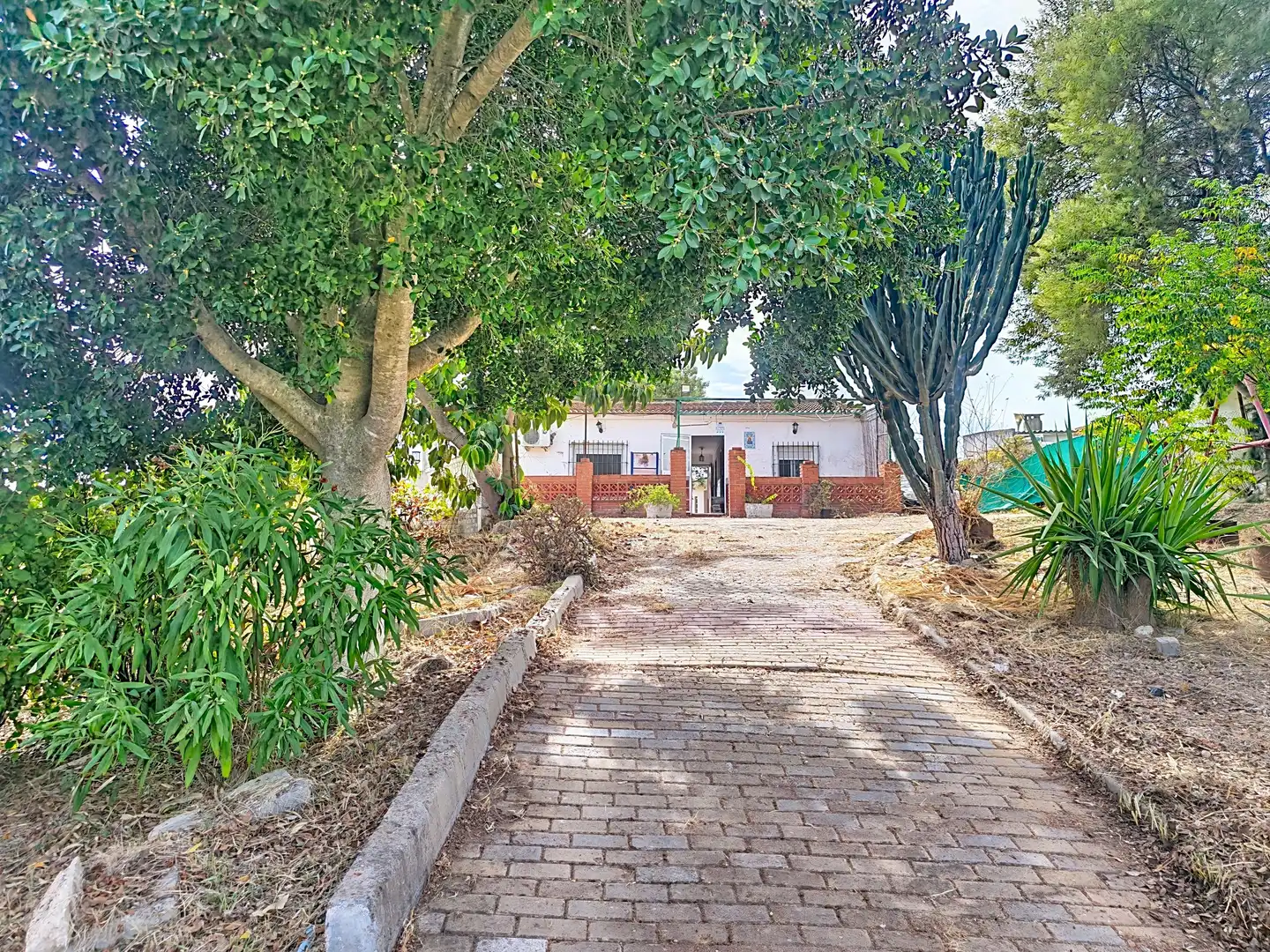 Casa rústica con piscina en venta en Gibraleón, imagen 30