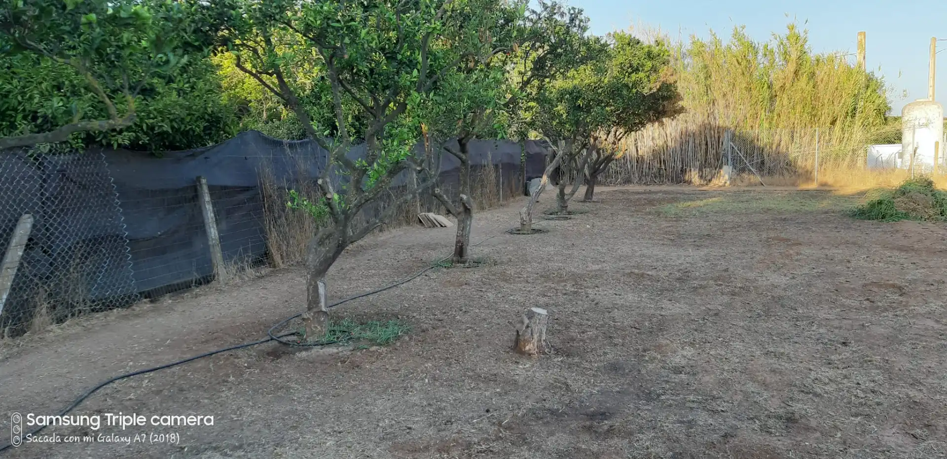 Finca rústica en venda en Aznalcázar
