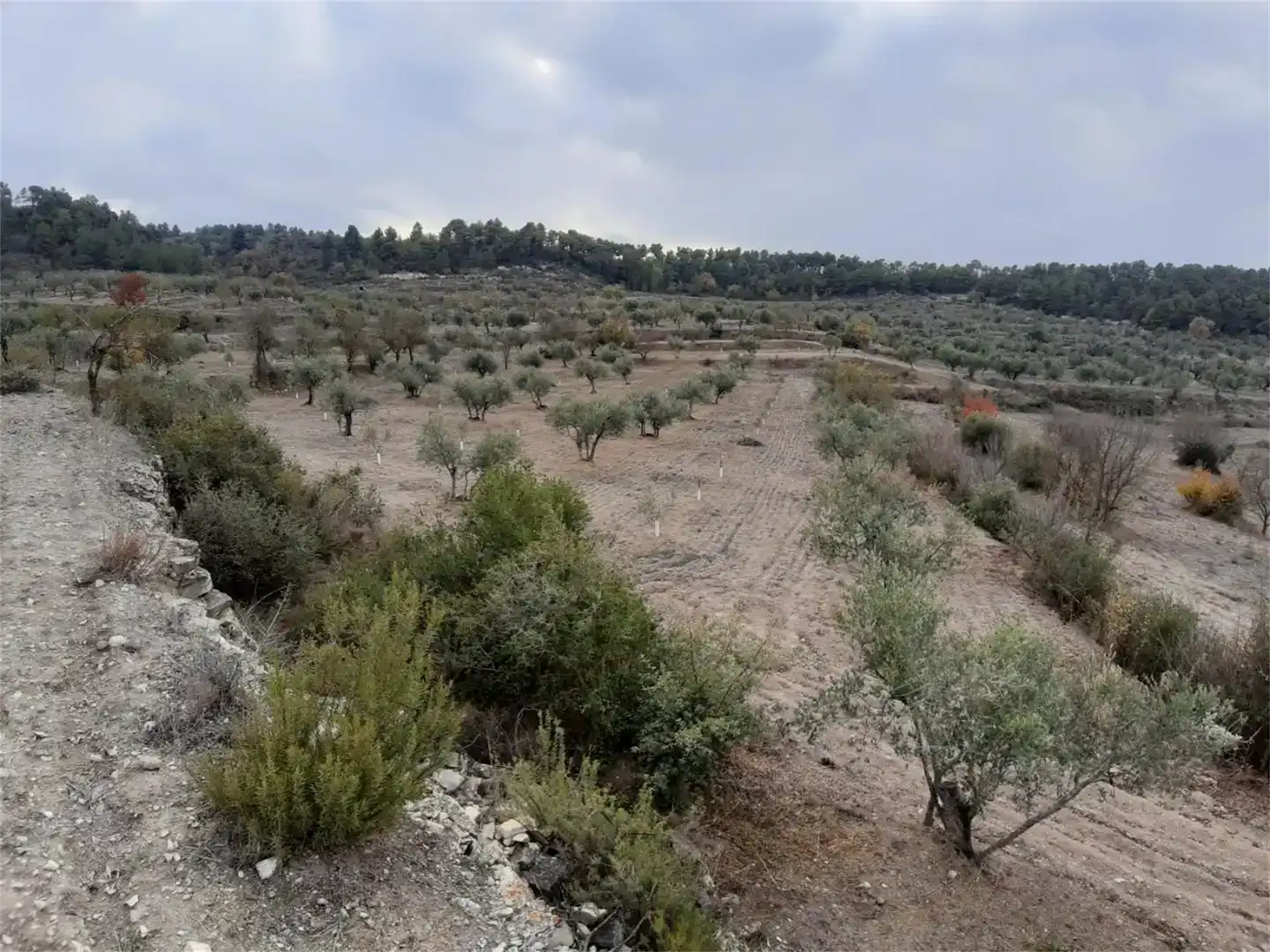 Grundstücke zum Verkauf in Maldà, Lleida
