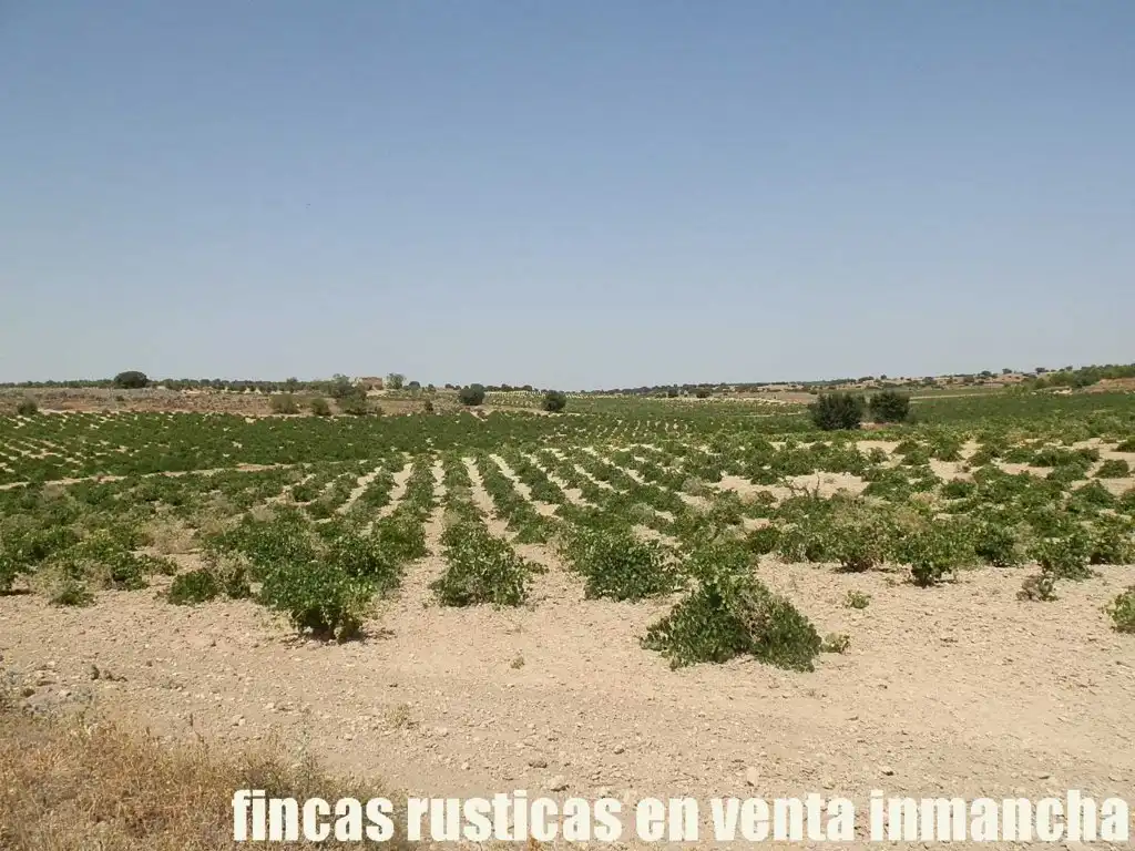 Terreni e lotti in vendita a Mota del Cuervo, imagen 3