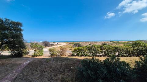 Photo 2 of Planta baja for sale in Avenida Gola del Puchol, El Saler,  Valencia Capital