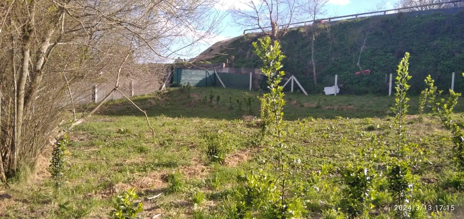 Terreny rústic en venda a Polígono 506 Parcela 10534, imagen 5