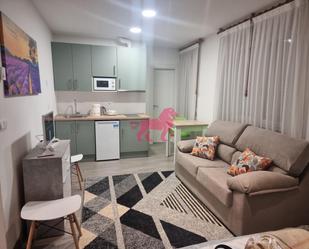 Living room of Study to rent in León Capital   with Heating, Parquet flooring and Furnished