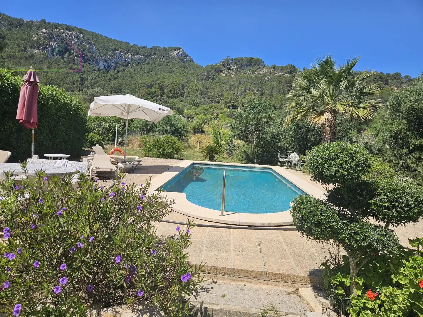 Jardí de Finca rústica en venda en Andratx amb Terrassa, Piscina i Balcó