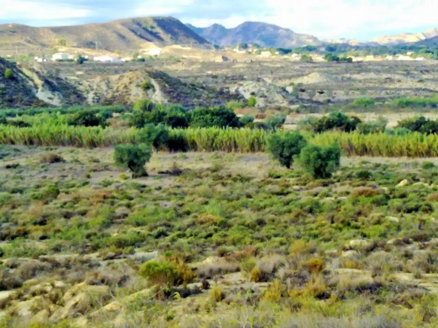 Terreno residenziale in vendita a Campo de Murcia, imagen 3