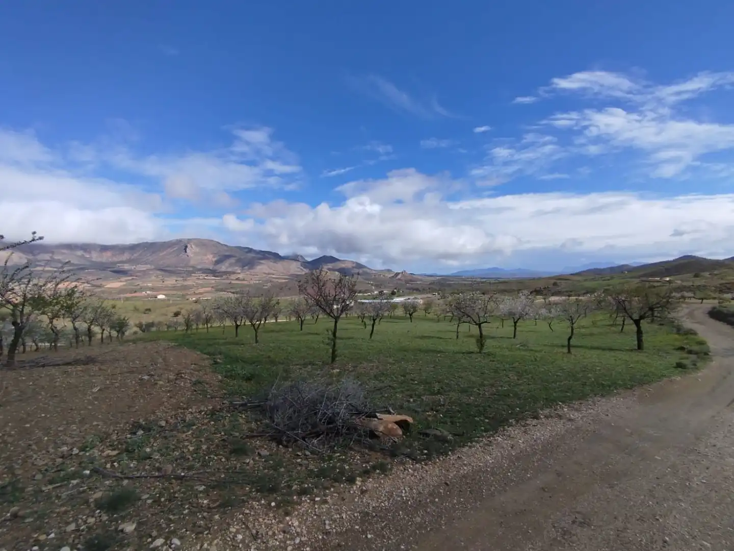 Casa rústica en venda a Pedanías Norte, imagen 11