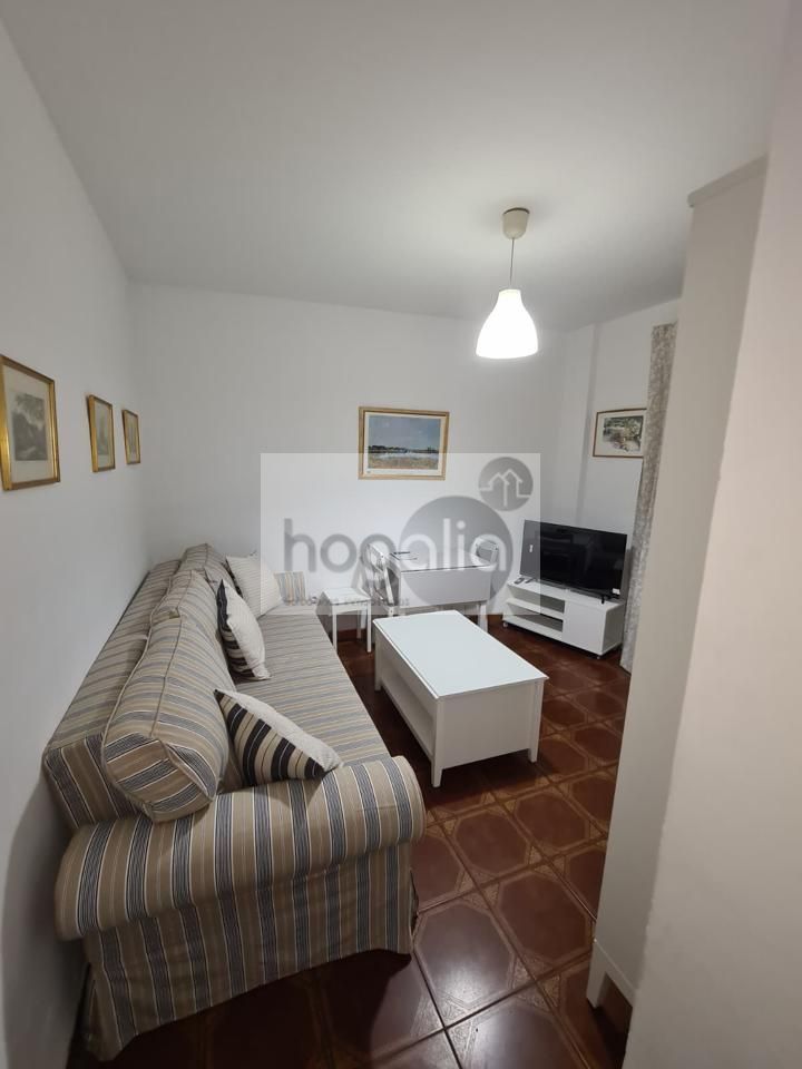 Sala d'estar de Planta baixa de lloguer en  Sevilla Capital amb Aire condicionat i Moblat