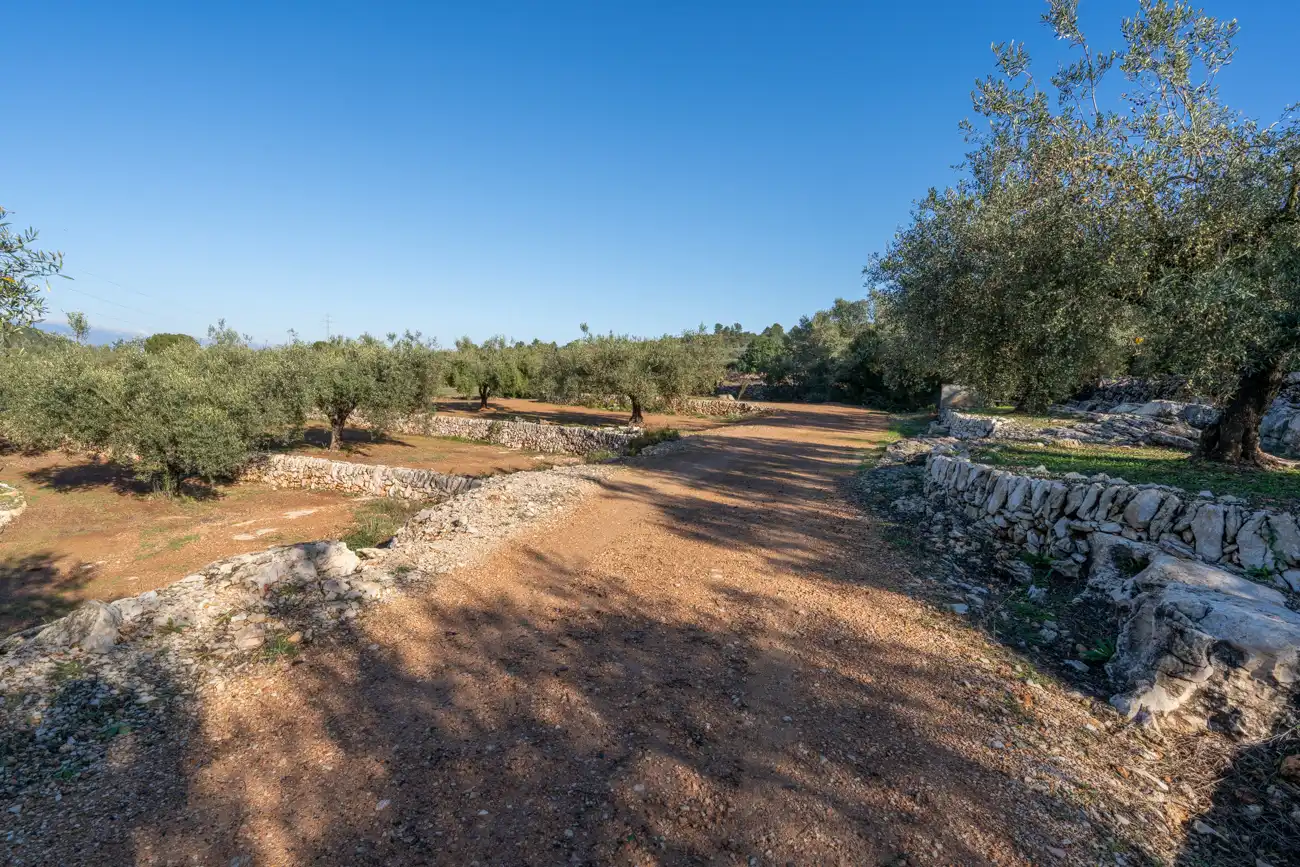 Country homes for sale in Freginals  with Air Conditioner, Terrace and Furnished