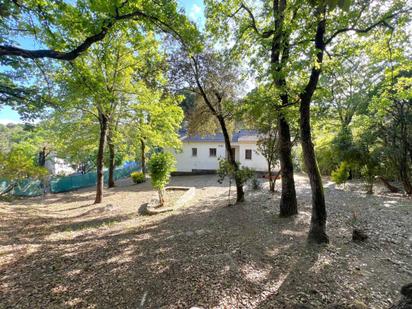Garden of House or chalet for sale in Riells i Viabrea