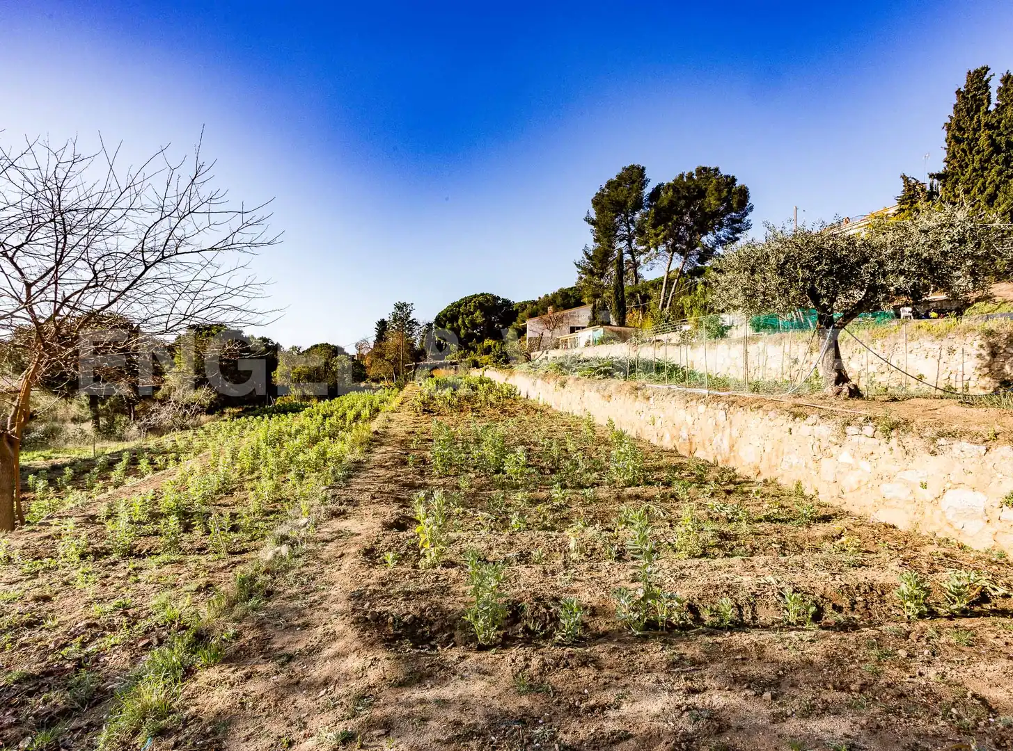 Casa amb terrassa en venda a Premià de Dalt, imagen 44