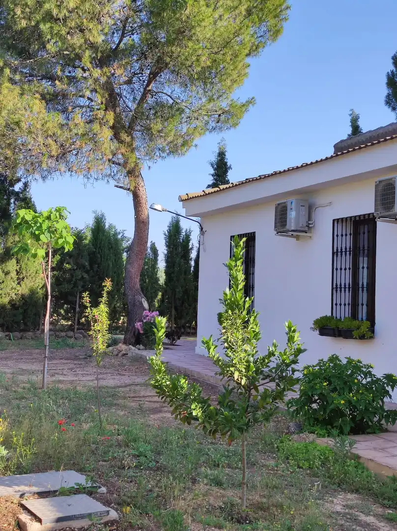 Jardín de Casa o chalet en venta en Ciudad Real con Aire acondicionado, Calefacción y Jardín privado