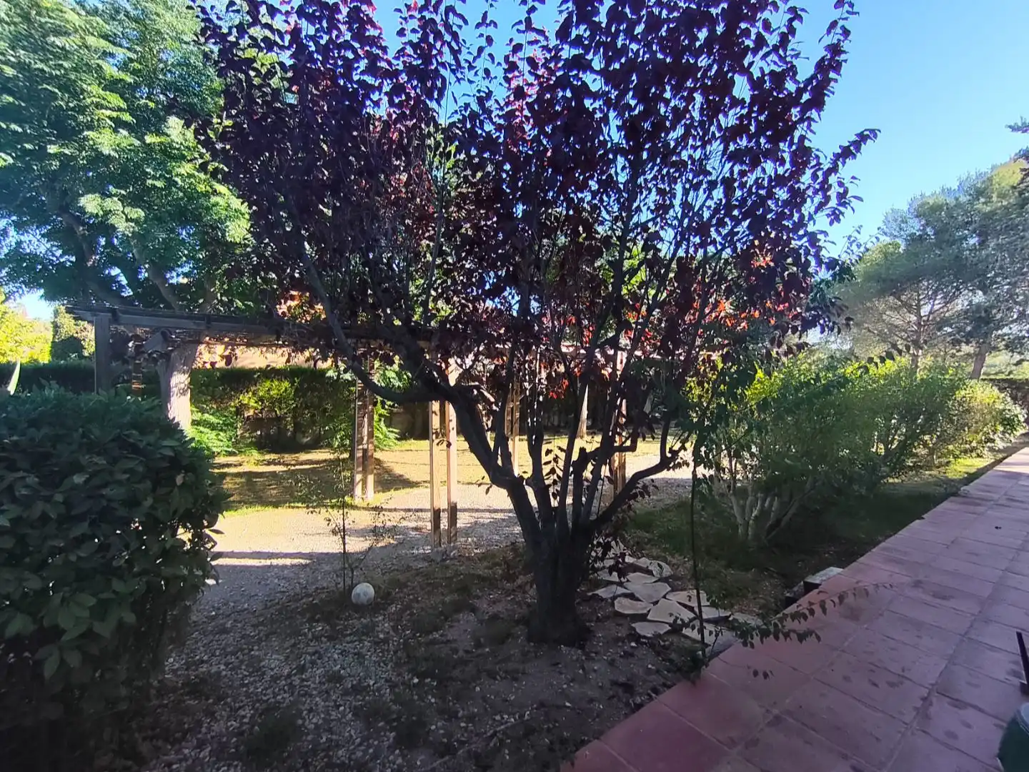 Jardín de Casa o chalet en venta en Olèrdola con Aire acondicionado, Terraza y Piscina