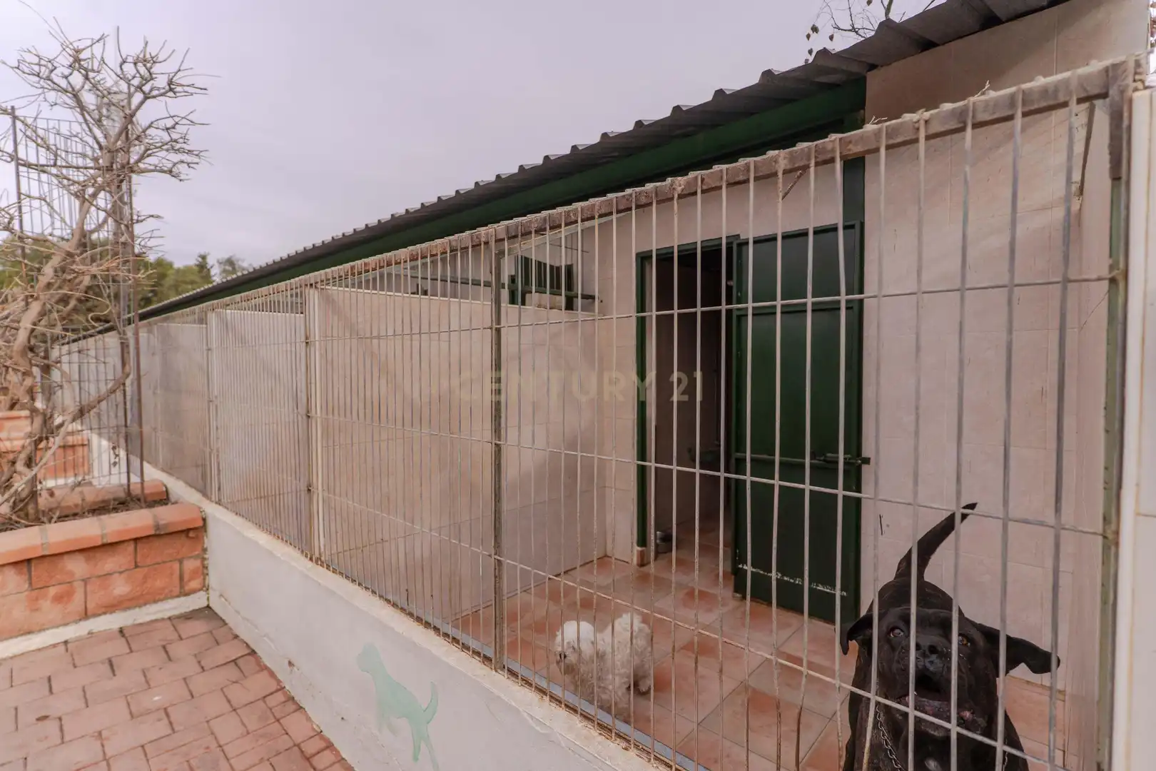 Vista exterior de Casa o chalet en venta en Dúrcal con Jardín privado