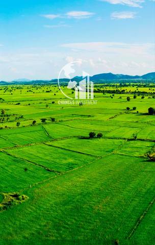 Terreno en Venta en N/A en Santa Úrsula pueblo