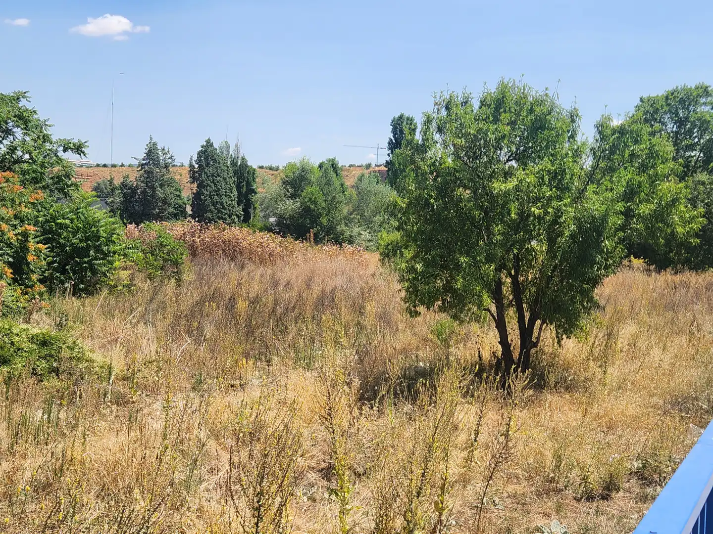 Terreno residenziale in vendita a Marchamalo, imagen 24