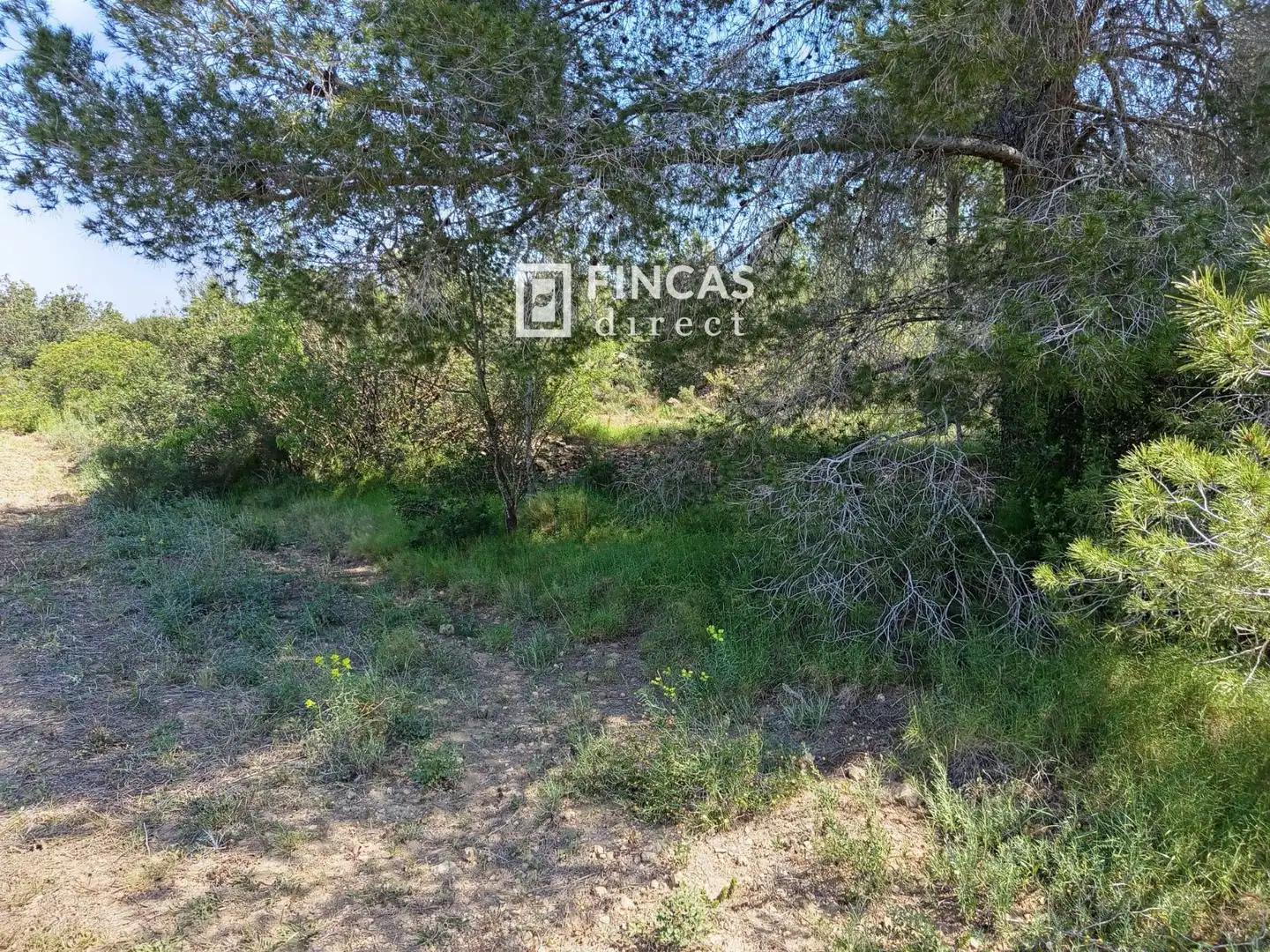 Terrain rustique à vendre à WFXW+MPJ, imagen 12