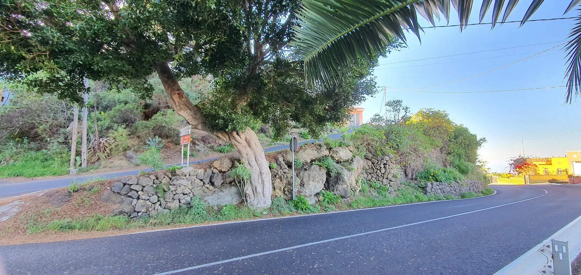 Terreno residenziale in vendita a La Guancha, imagen 5