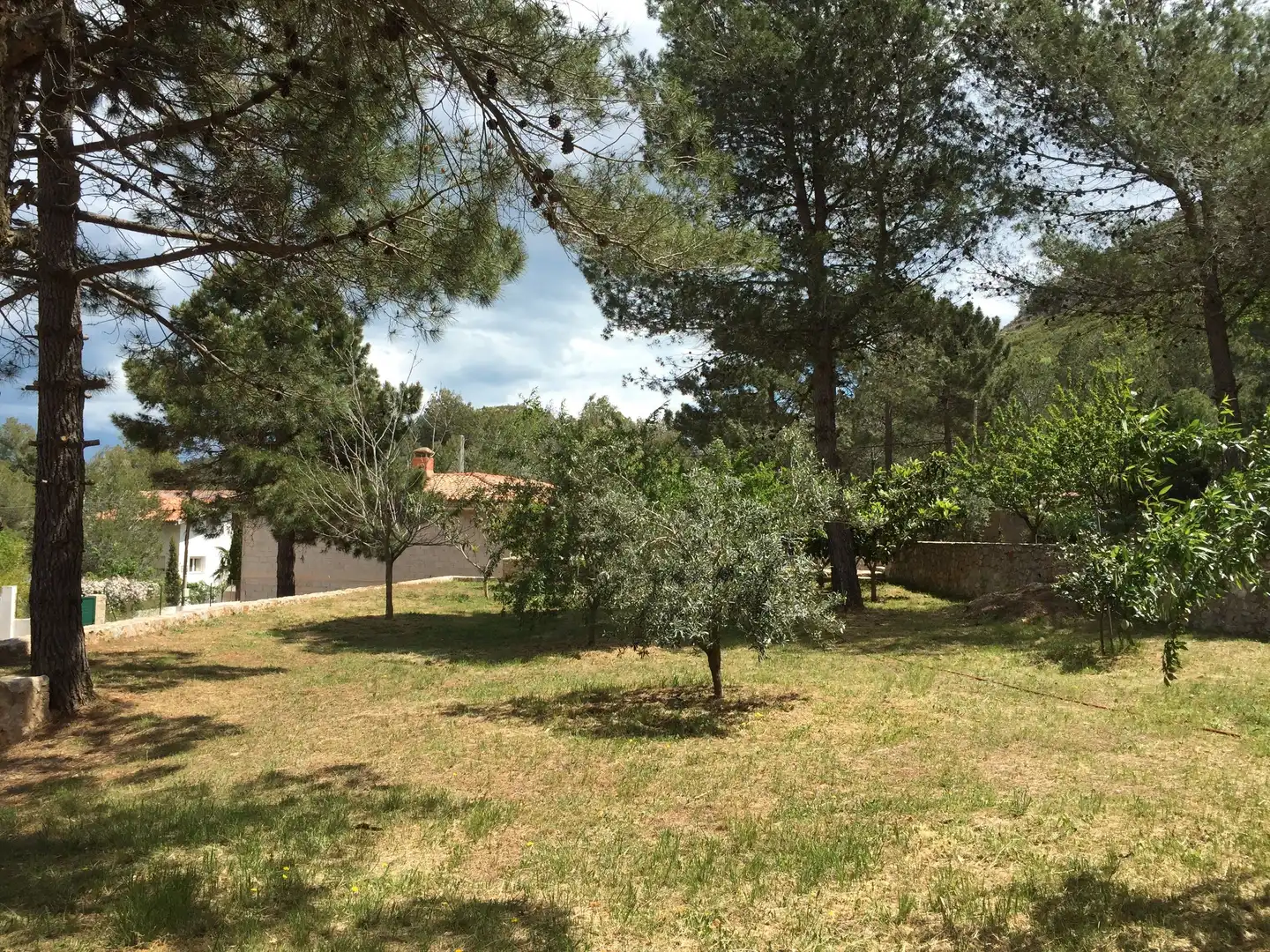 Houses for sale in Simat de la Valldigna