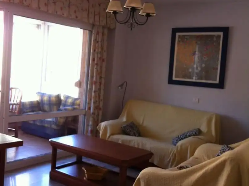 Living room of Flat for rent in Centro Internacional