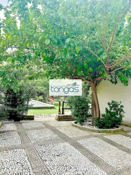 Casa o xalet en venda a El Genovés