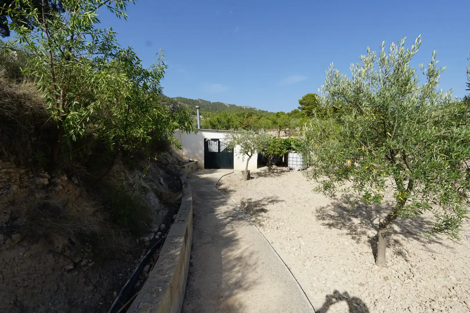Vista exterior de Finca rústica en venda en Ibi