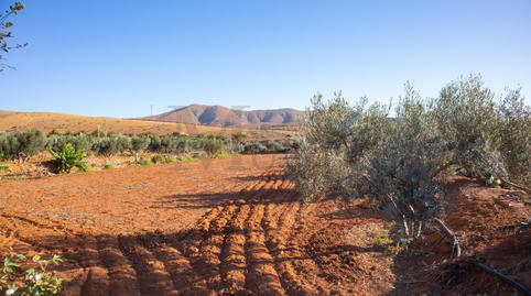 Photo 4 of House or chalet for sale in Calle Polígono 2 Paraje 182 Tablero la Pileta, 116, Päjara pueblo, Las Palmas