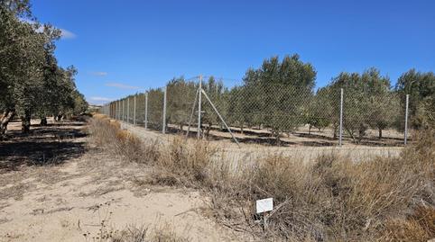 Photo 5 of House or chalet for sale in Pedanías Oeste, Aspe