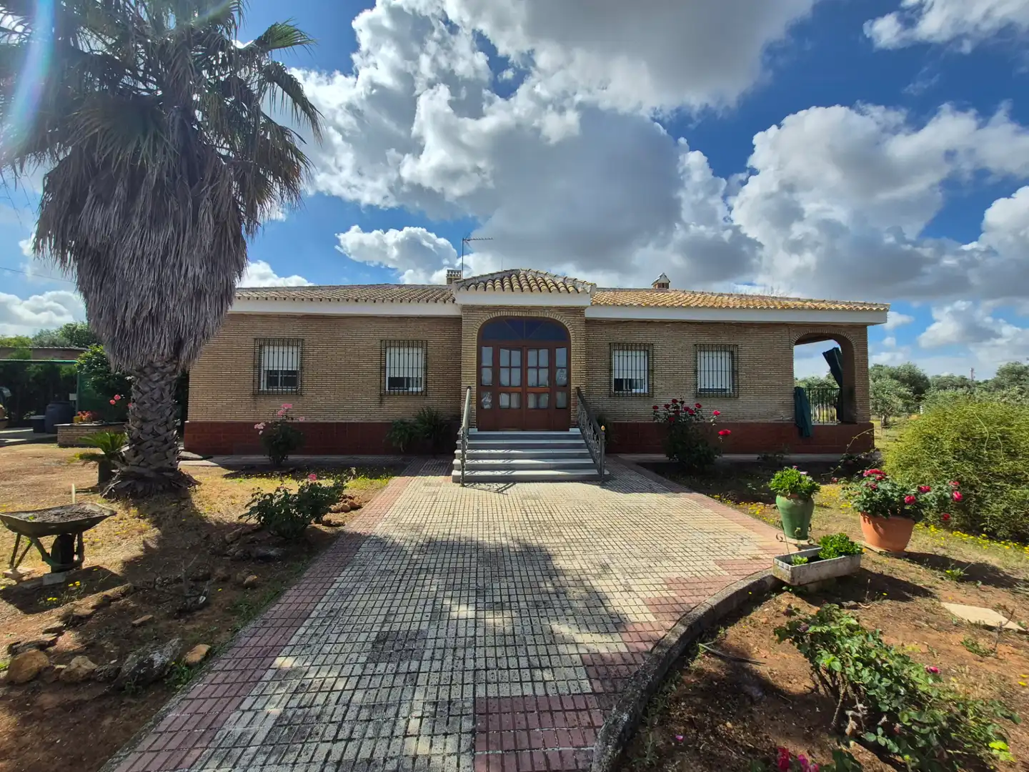 Vista exterior de Casa o chalet en venta en Carmona con Aire acondicionado, Calefacción y Jardín privado