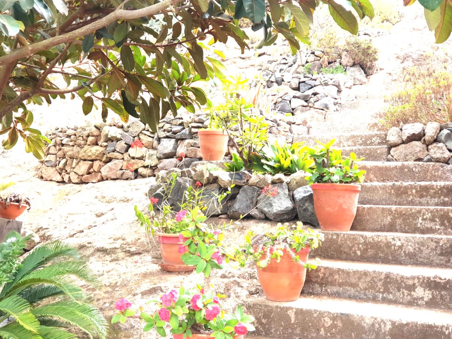 Jardí de Finca rústica en venda en Las Palmas de Gran Canaria amb Jardí privat i Terrassa