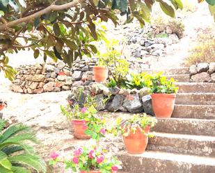 Jardí de Finca rústica en venda en Las Palmas de Gran Canaria amb Jardí privat i Terrassa