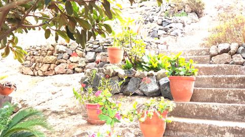 Foto 2 de Finca rústica en venda a Lugar Cuevas de Ortega, San Lorenzo, Las Palmas de Gran Canaria