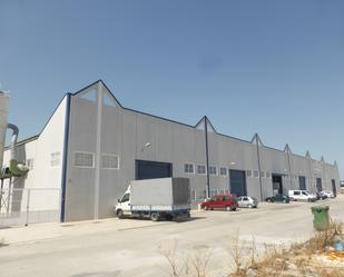 Exterior view of Industrial buildings for sale in Abanilla