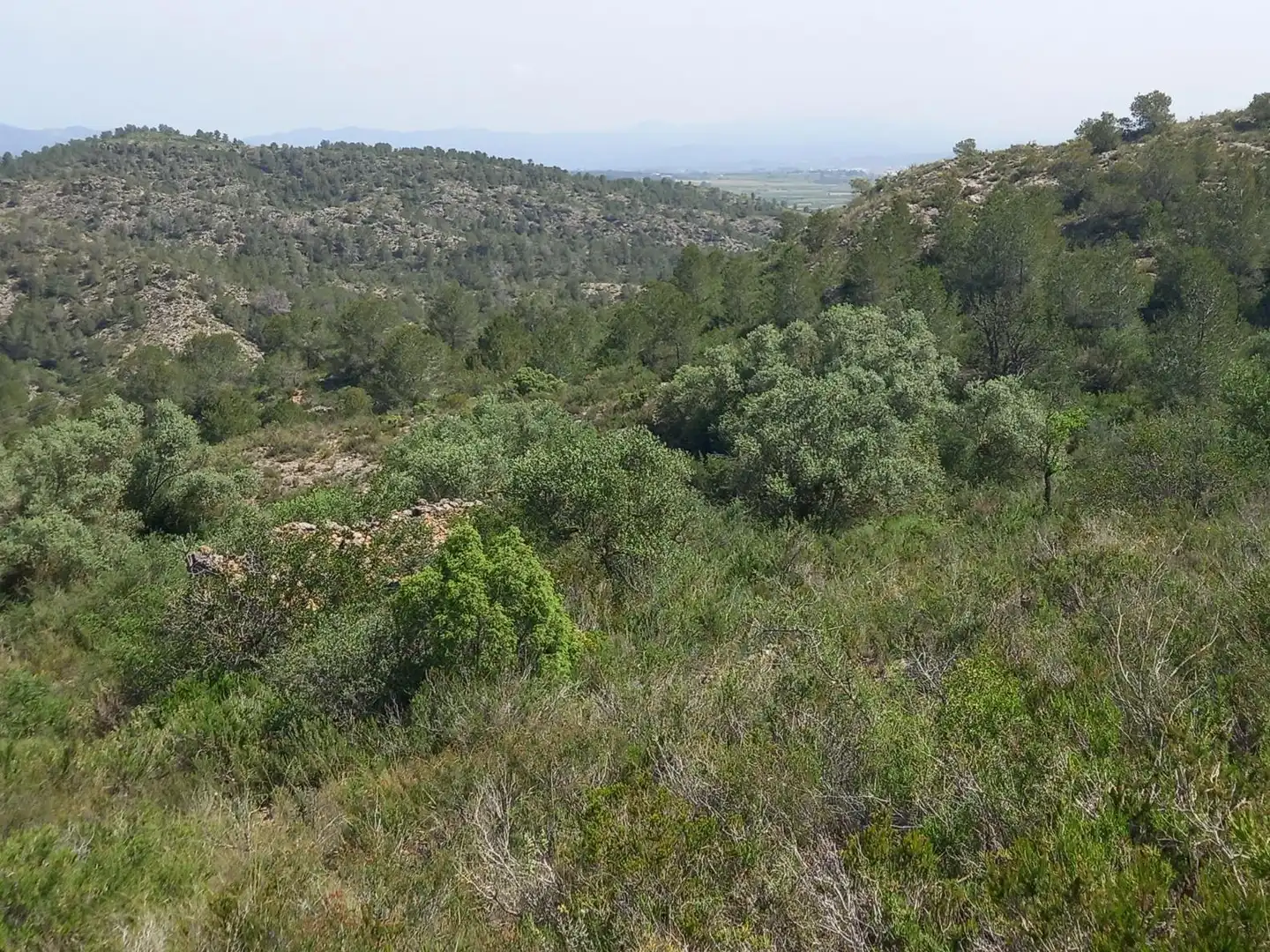 Terreny rústic en venda a Miravet, imagen 17