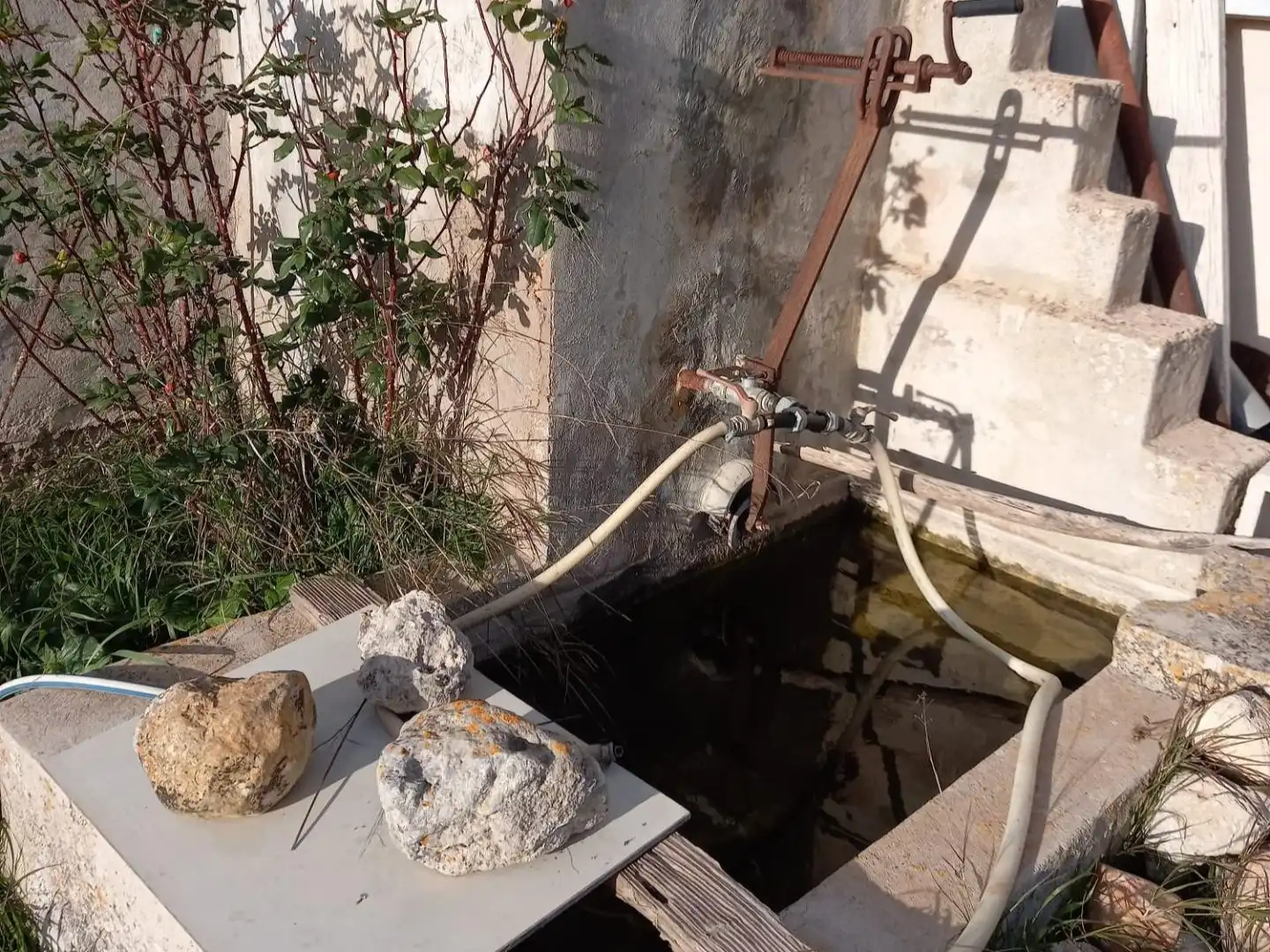 Jardí de Casa o xalet en venda en Algaida amb Jardí privat i Moblat