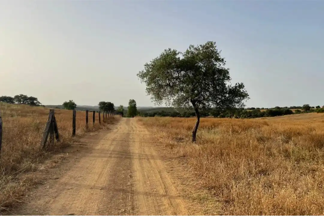 Terreno en venta en La Calzada - La Florida