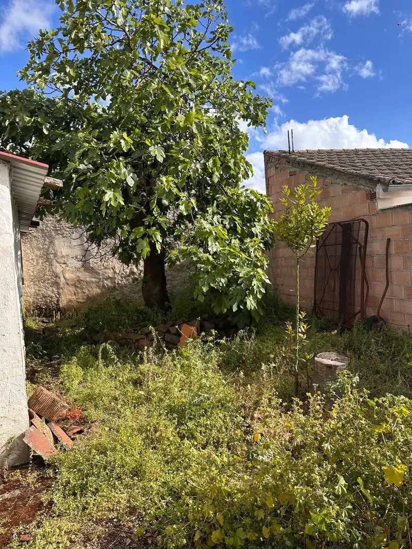 Maison avec jardin à vendre à Fuente Obejuna, imagen 4