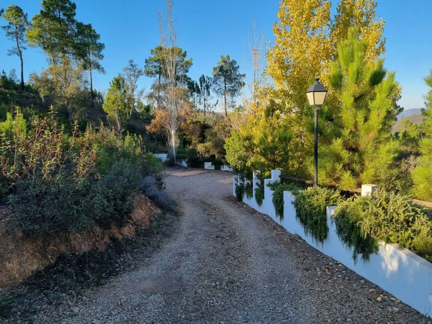 Casa o chalet en venta en Valdelarco