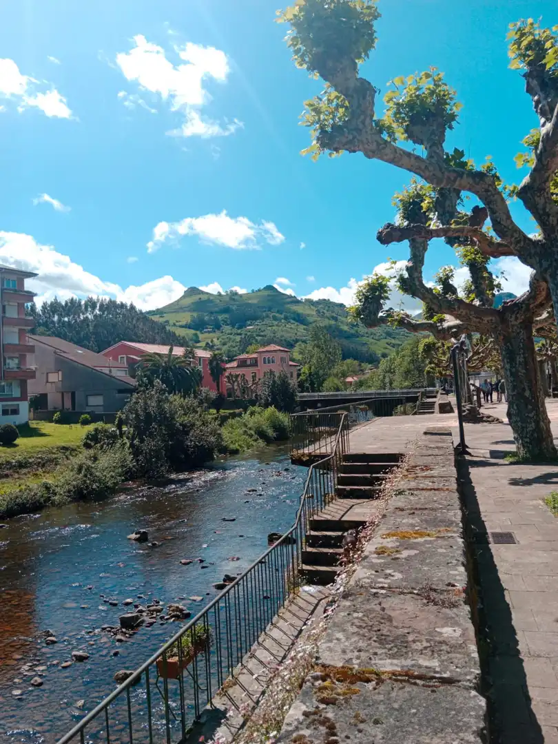 Local de alquiler en Liérganes - CL DEAN MARTINEZ MAZAS, Liérganes