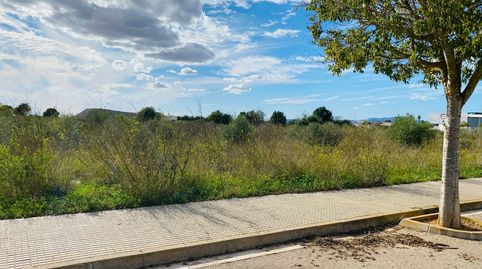 Solar Edificable en Felanitx