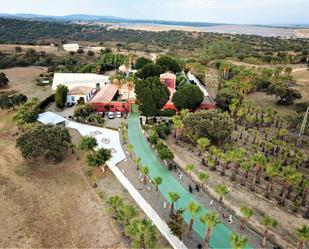 Finca rústica en venda en Guillena amb Aire condicionat, Terrassa i Piscina