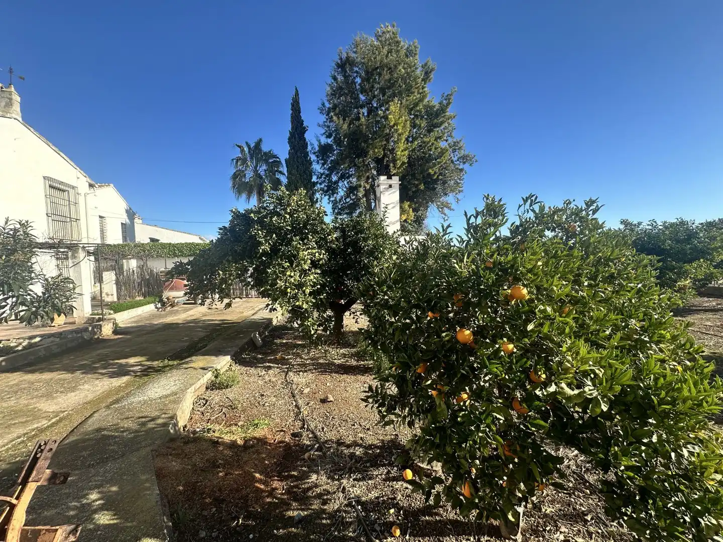 House with terrace for sale in Algímia de Alfara, imagen 46