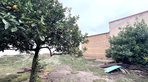 CASA  EN AVENIDA DEL PILAR CON APROX. 400 M2, immagine 2
