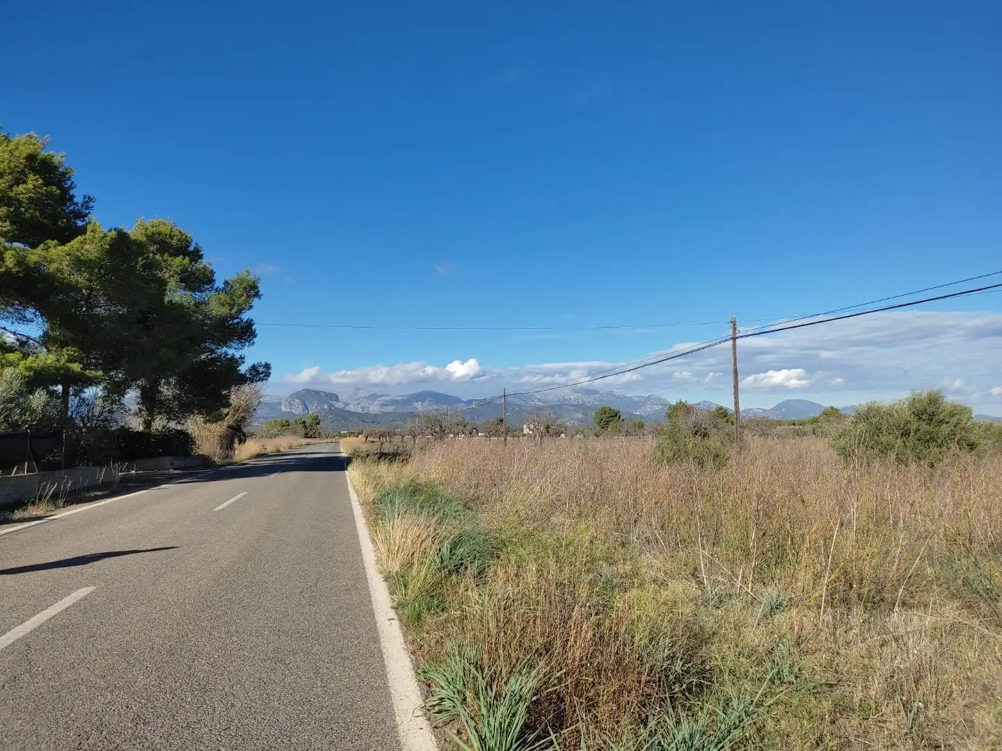 Baixos amb jardí en venda a Carrer d'en Fiol 60