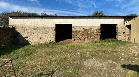 Finca  46,5 has zona Puente del Arzobispo Toledo, immagine 4