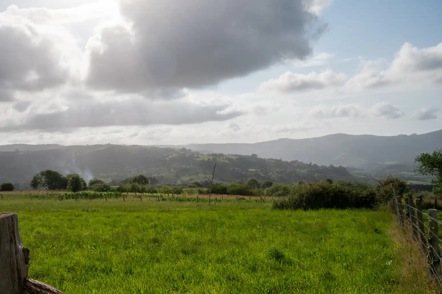 Residential land for sale in Poreño, imagen 11