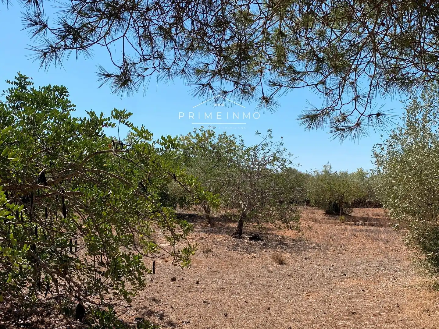Country house for sale in L'Ametlla de Mar pueblo, imagen 15