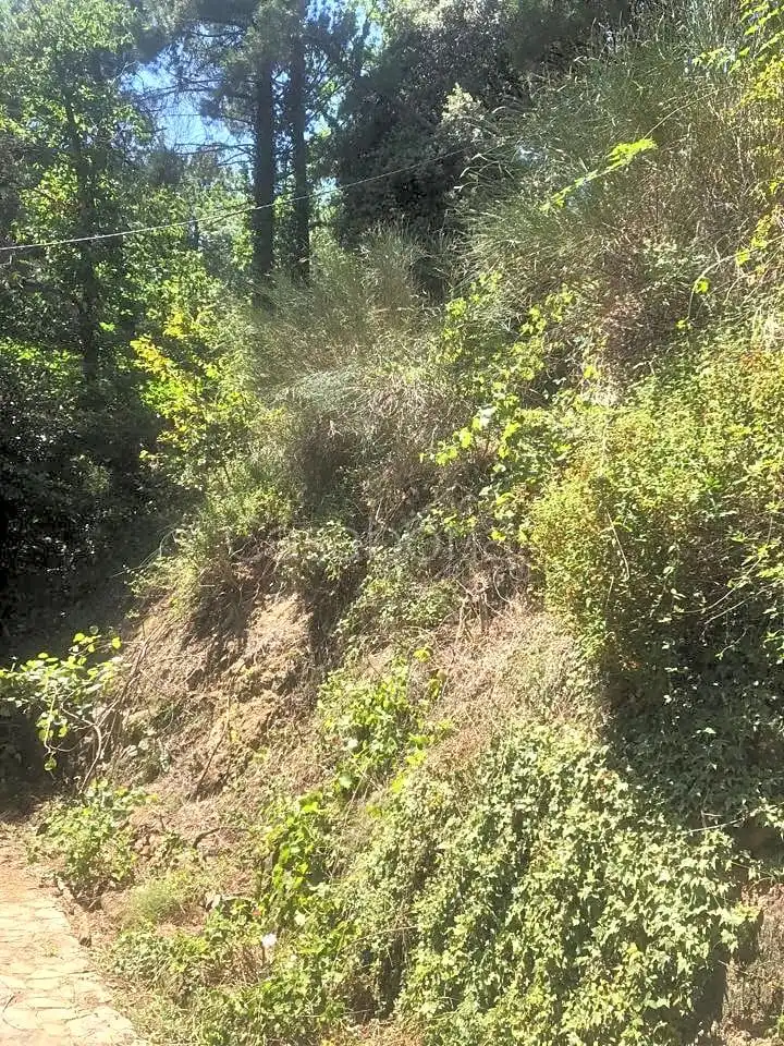 Finca rústica en venta en Arbúcies con Jardín privado, Terraza y Amueblado