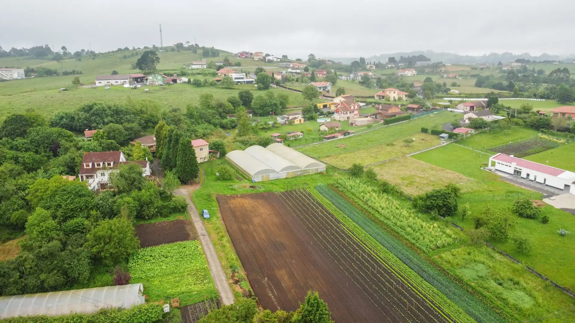 Wohnbaugrundstück zum Verkauf in Carretera CAMPANA LA 12, imagen 34